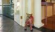 Interior and exterior repaint in Booragoon