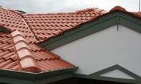 Spray painted roof